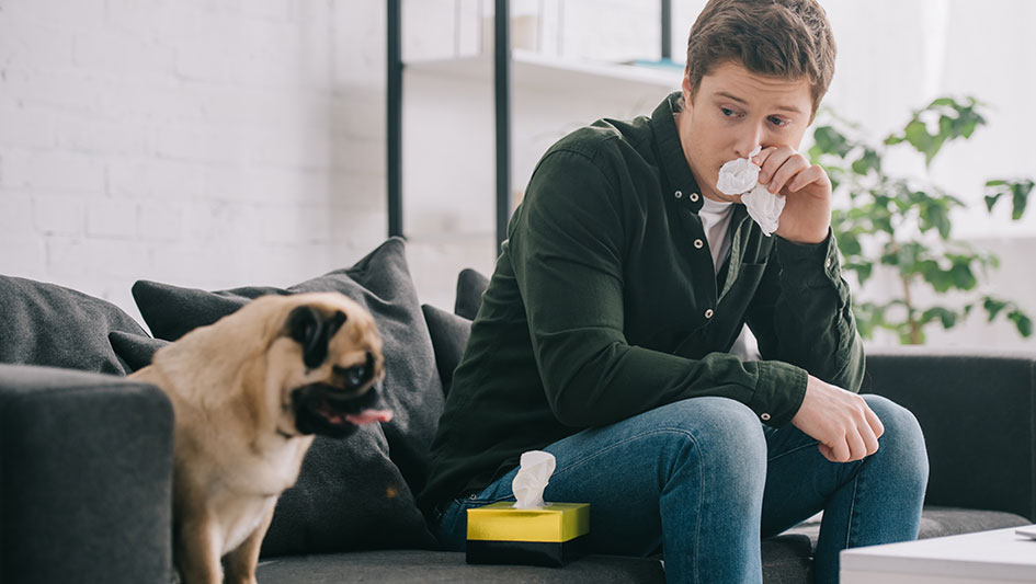 Purchasing an air purifier is one of the smartest methods to enhance your home’s indoor air quality. Find out more about the three top products. 